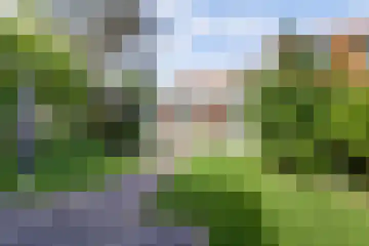 Maasdijk 123 Maasdijk thumbnail 41