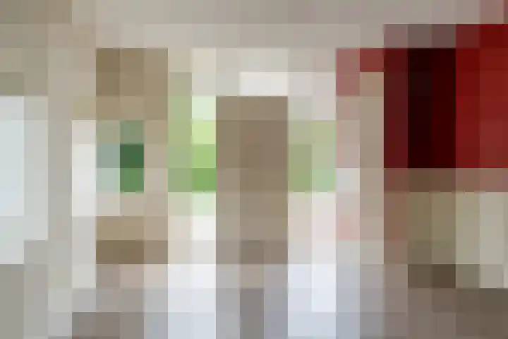 Maasdijk 14 Giessen thumbnail 12