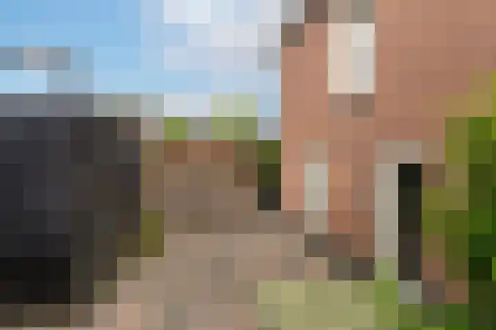 Maasdijk 14 Giessen thumbnail 40