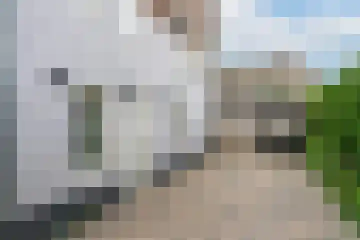 Maasdijk 14 Giessen thumbnail 41