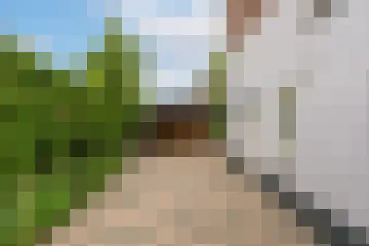 Maasdijk 14 Giessen thumbnail 42