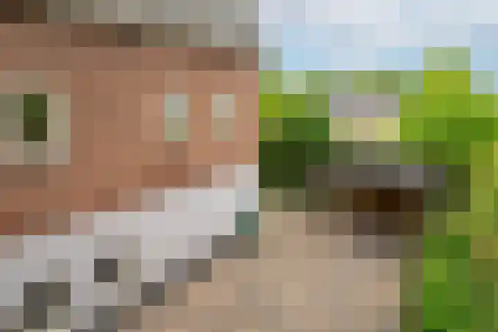 Maasdijk 14 Giessen thumbnail 46