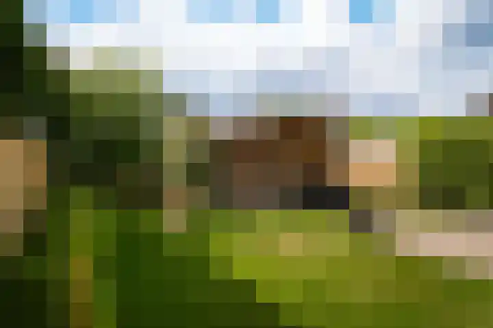 Maasdijk 15 A Megen thumbnail 42