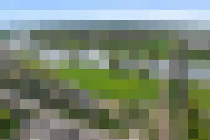 Maasdijk 18 Mook