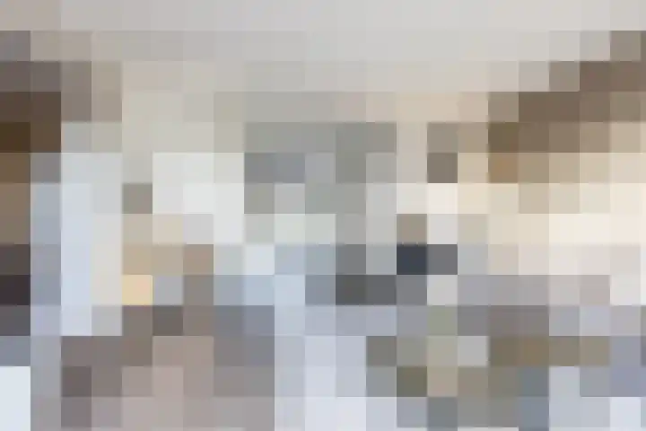 Maasdijk 2 e Heerewaarden thumbnail 12