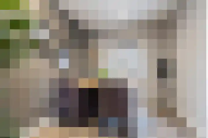Maasdijk 2 e Heerewaarden thumbnail 17