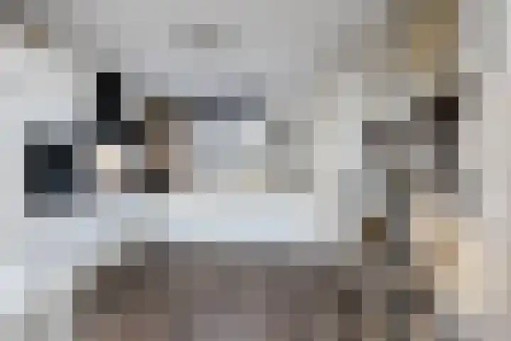 Maasdijk 2 e Heerewaarden thumbnail 18