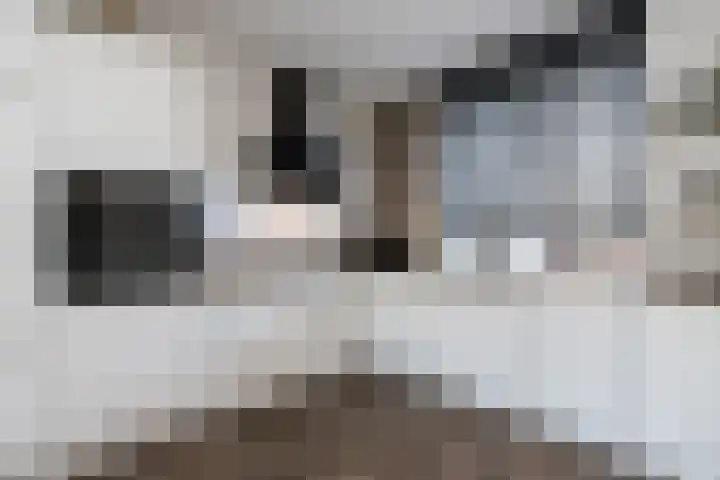 Maasdijk 2 e Heerewaarden thumbnail 19