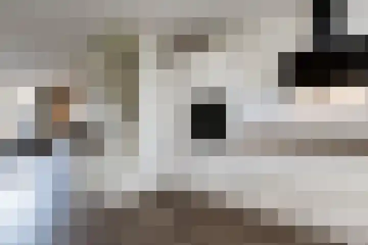 Maasdijk 2 e Heerewaarden thumbnail 20