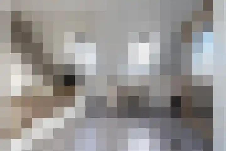 Maasdijk 2 e Heerewaarden thumbnail 25