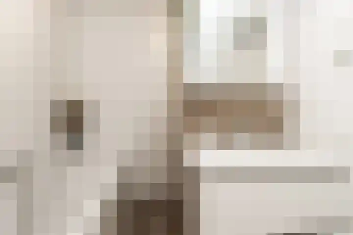 Maasdijk 2 e Heerewaarden thumbnail 32