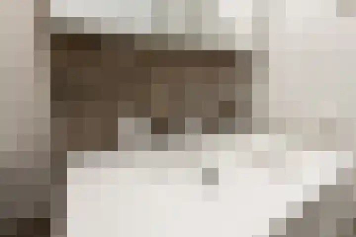 Maasdijk 2 e Heerewaarden thumbnail 33