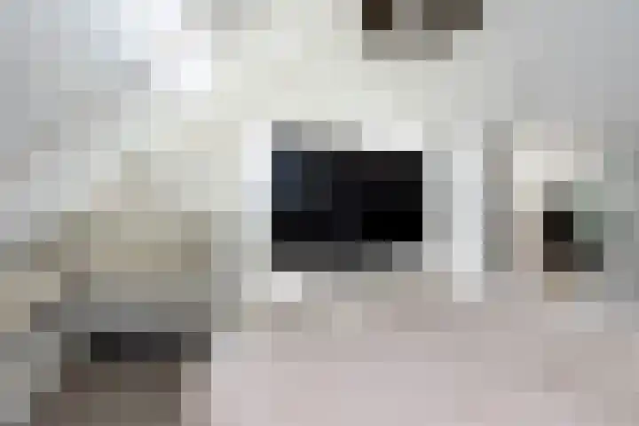 Maasdijk 2 e Heerewaarden thumbnail 38
