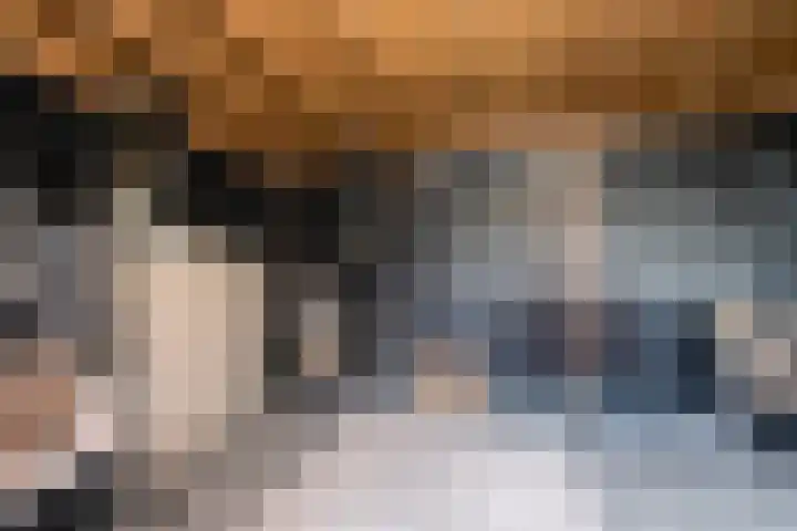 Maasdijk 2 e Heerewaarden thumbnail 46