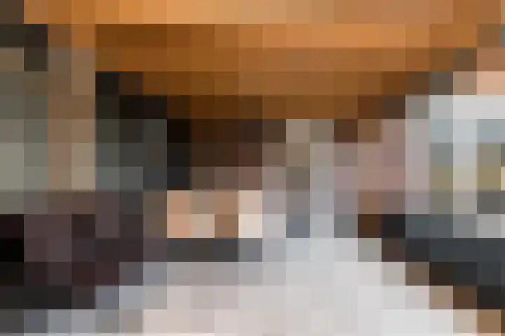Maasdijk 2 e Heerewaarden thumbnail 47
