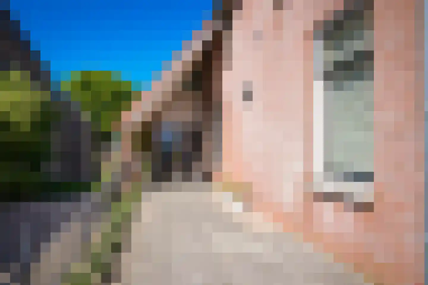 Maasdijk 22 Appeltern thumbnail 49