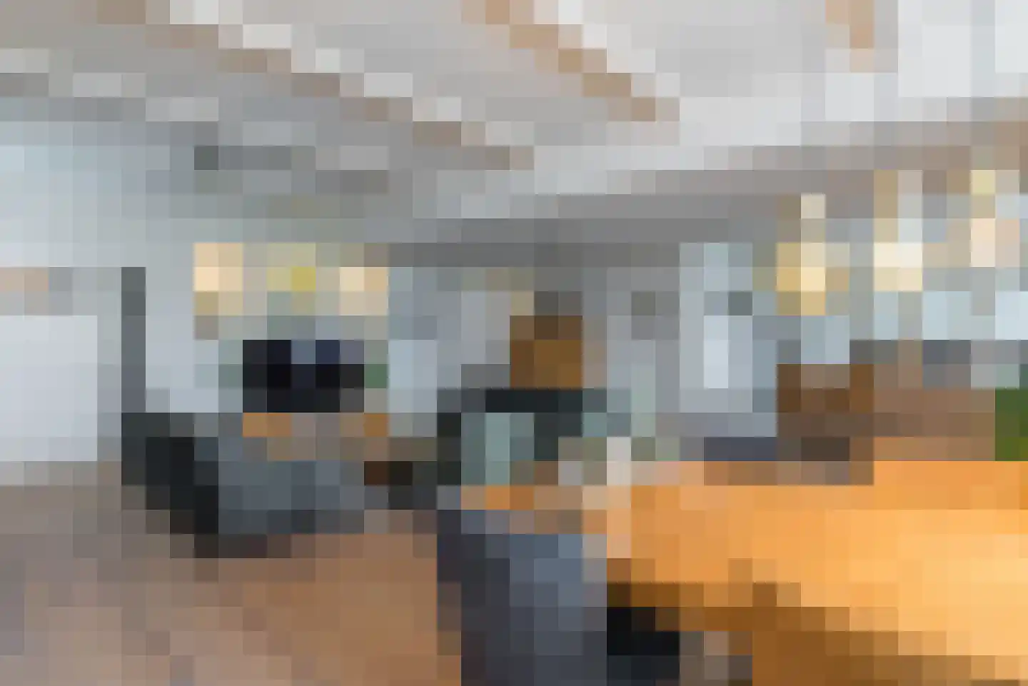 Maasdijk 22 Appeltern thumbnail 5