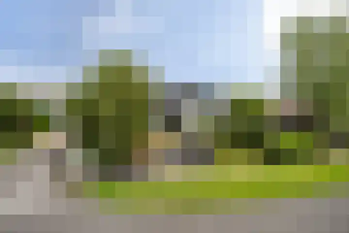 Maasdijk 37 Maasdijk