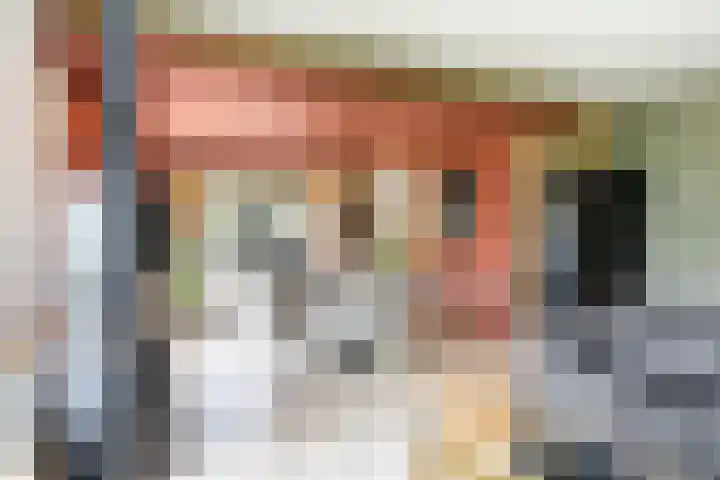 Maasdijk 37 Maasdijk thumbnail 13