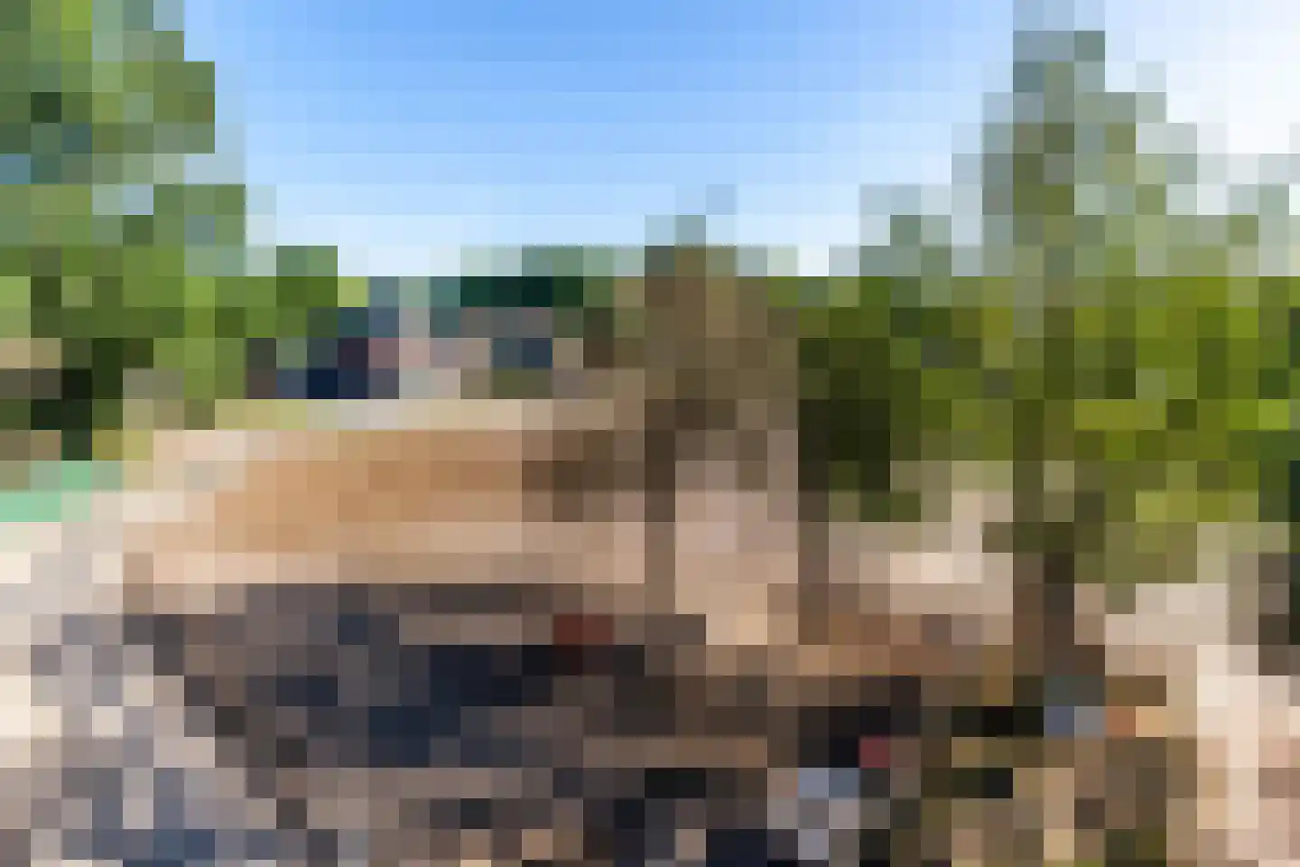 Maasdijk 37 Maasdijk thumbnail 14