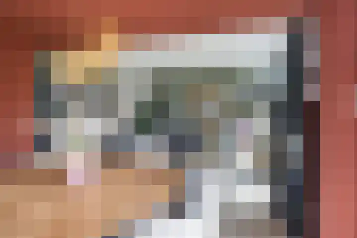 Maasdijk 37 Maasdijk thumbnail 15