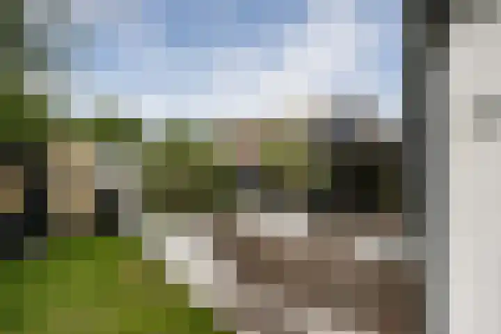 Maasdijk 37 Maasdijk thumbnail 19