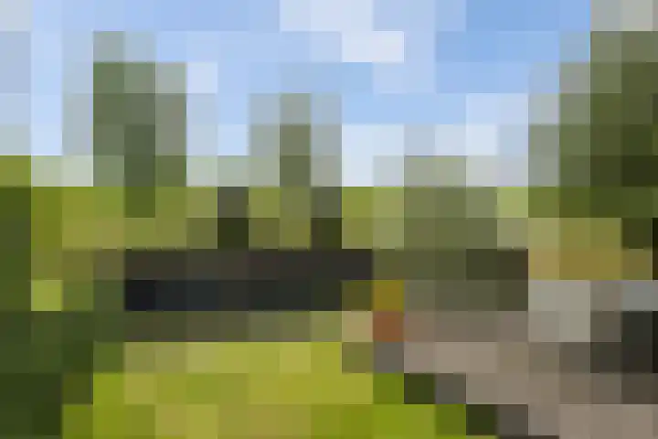 Maasdijk 37 Maasdijk thumbnail 22