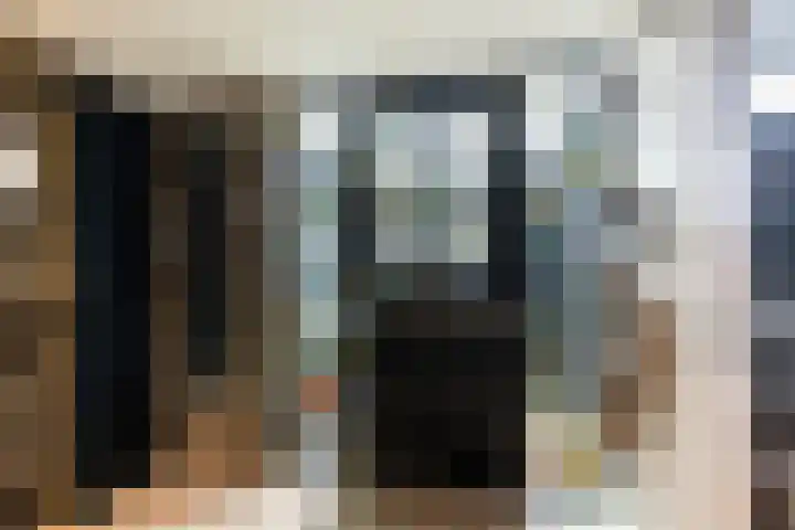 Maasdijk 37 Maasdijk thumbnail 26