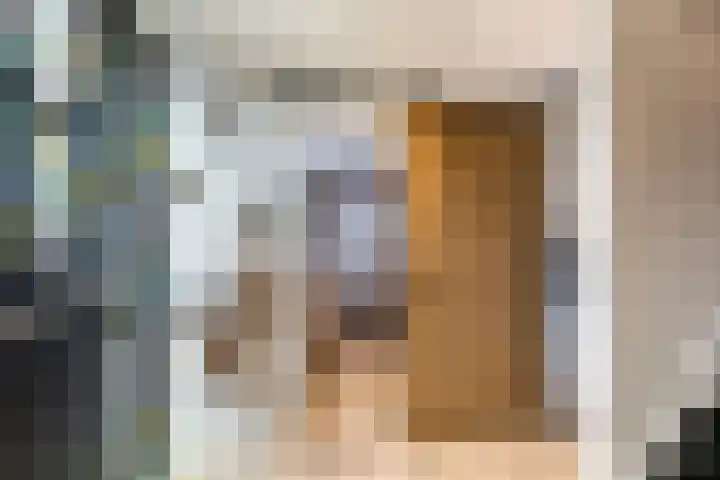 Maasdijk 37 Maasdijk thumbnail 27