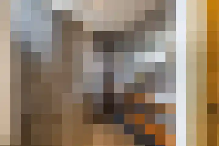 Maasdijk 37 Maasdijk thumbnail 28
