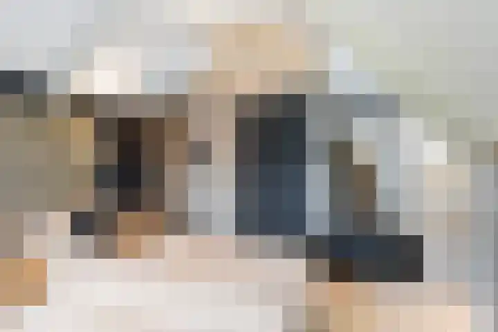 Maasdijk 37 Maasdijk thumbnail 36