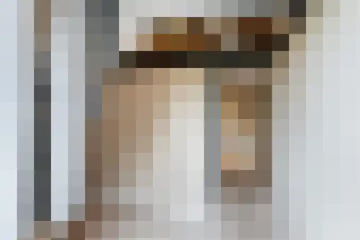Maasdijk 37 Maasdijk thumbnail 40