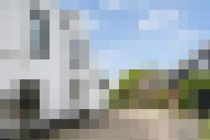 Maasdijk 37 Maasdijk thumbnail 47