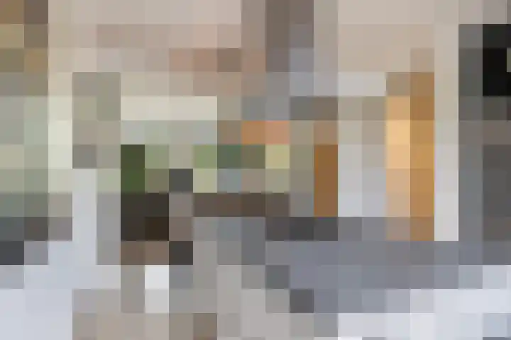 Maasdijk 37 Maasdijk thumbnail 5