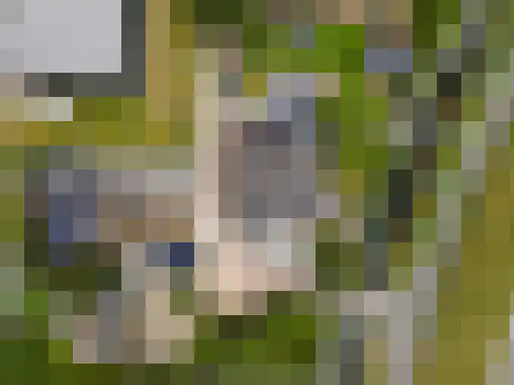 Maasdijk 37 Maasdijk thumbnail 56