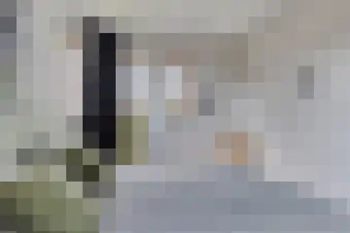 Maasdijk 37 Maasdijk thumbnail 59