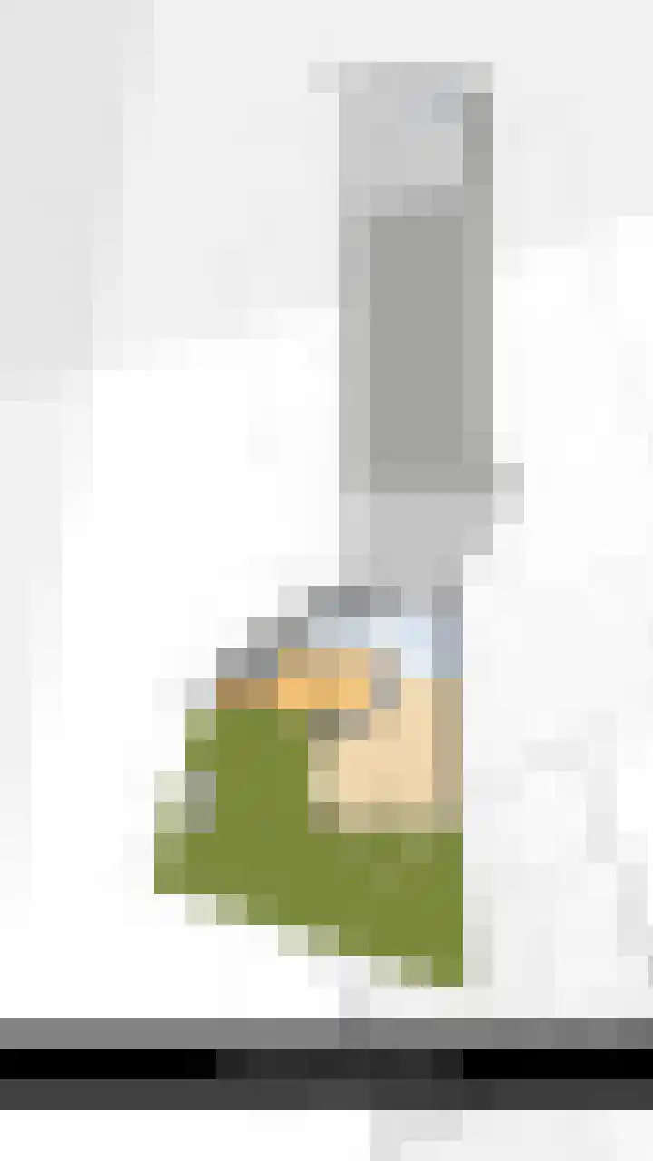 Maasdijk 37 Maasdijk thumbnail 60