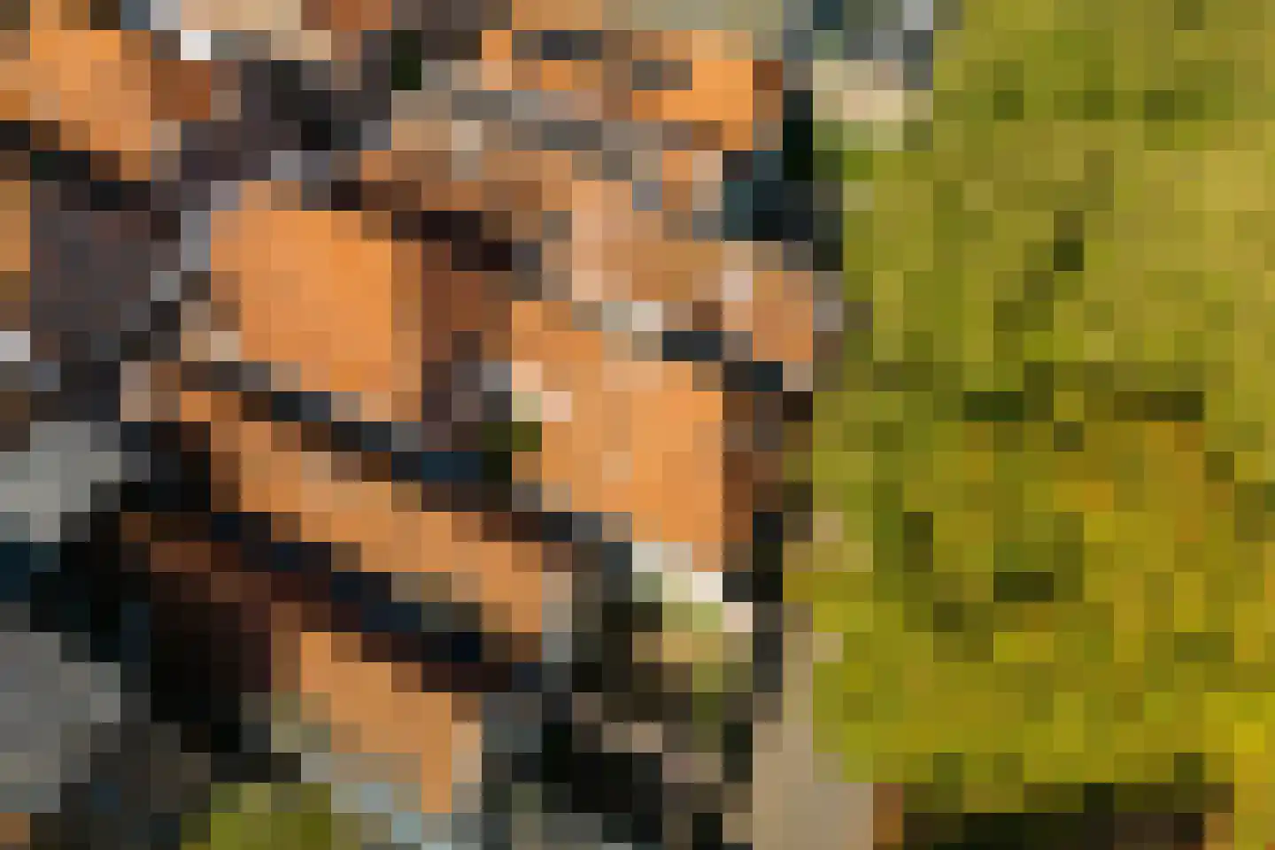 Maasdijk 40 Ravenstein thumbnail 32