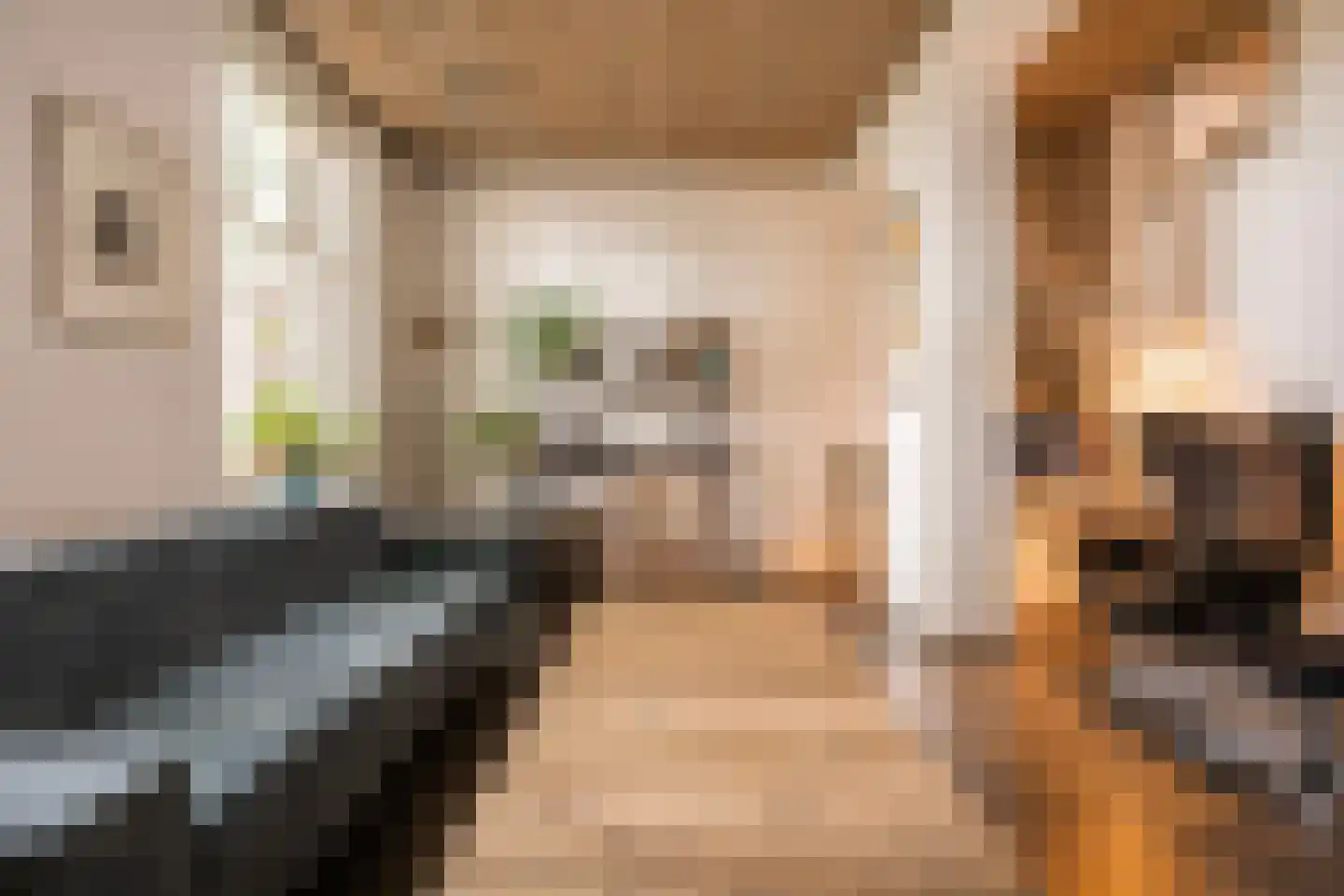 Maasdijk 40 Ravenstein thumbnail 7