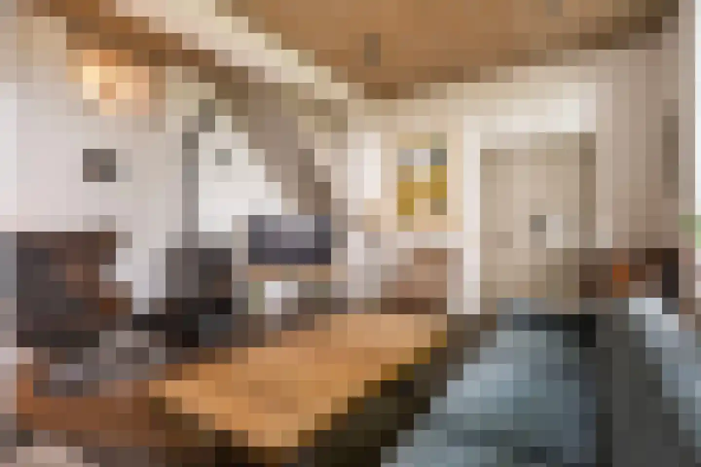 Maasdijk 40 Ravenstein thumbnail 9