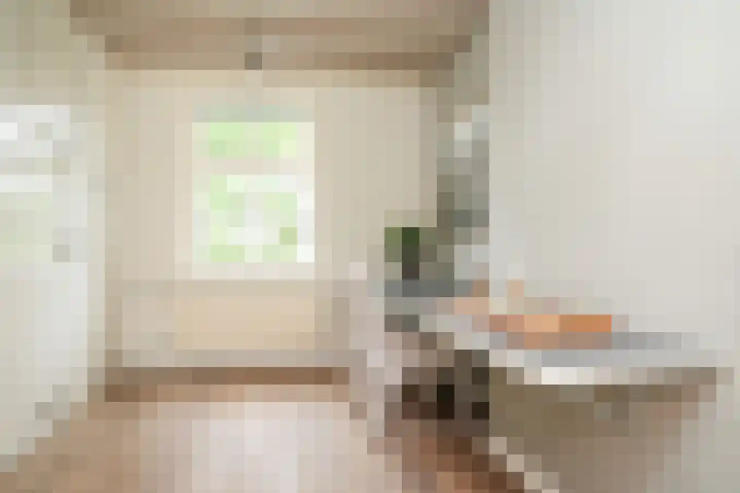 Maasdijk 42 Appeltern thumbnail 17