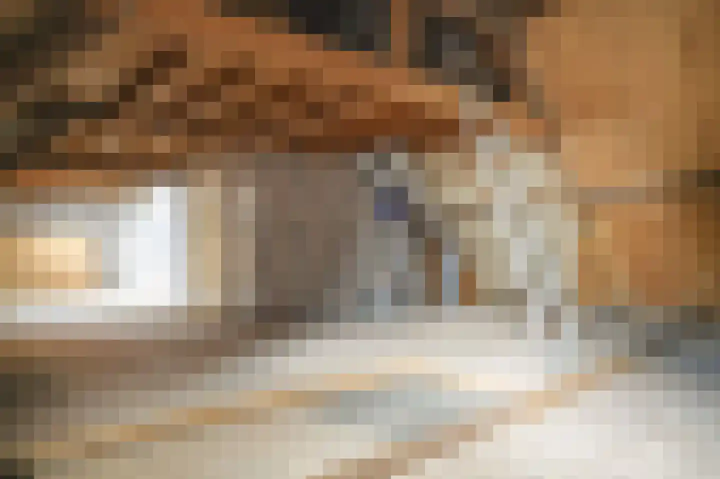 Maasdijk 42 Appeltern thumbnail 38