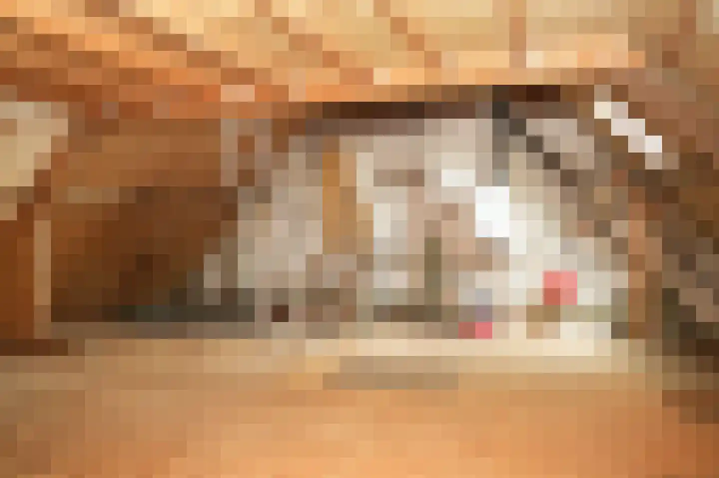 Maasdijk 42 Appeltern thumbnail 39