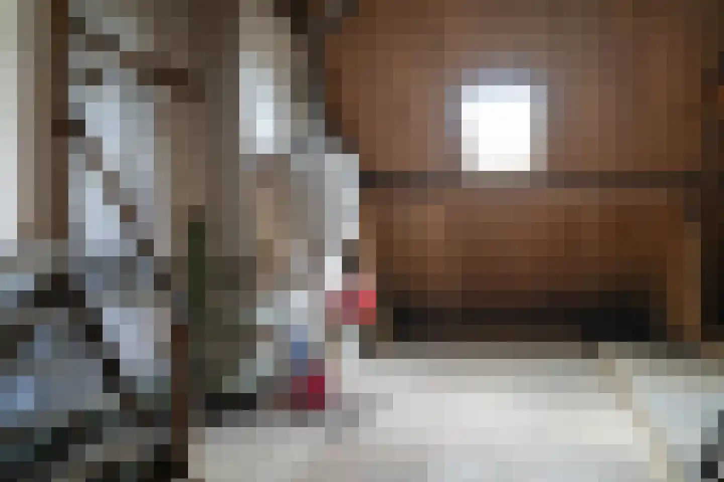 Maasdijk 42 Appeltern thumbnail 40