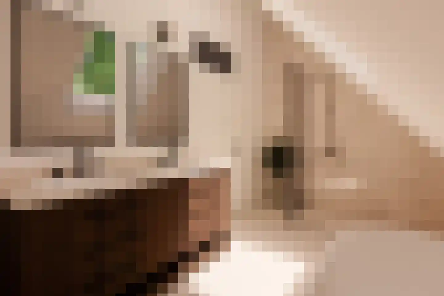 Maasdijk 42 Appeltern thumbnail 42