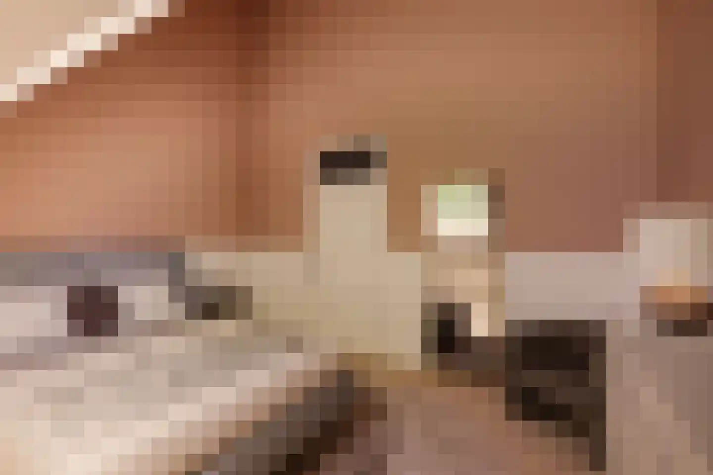 Maasdijk 42 Appeltern thumbnail 47