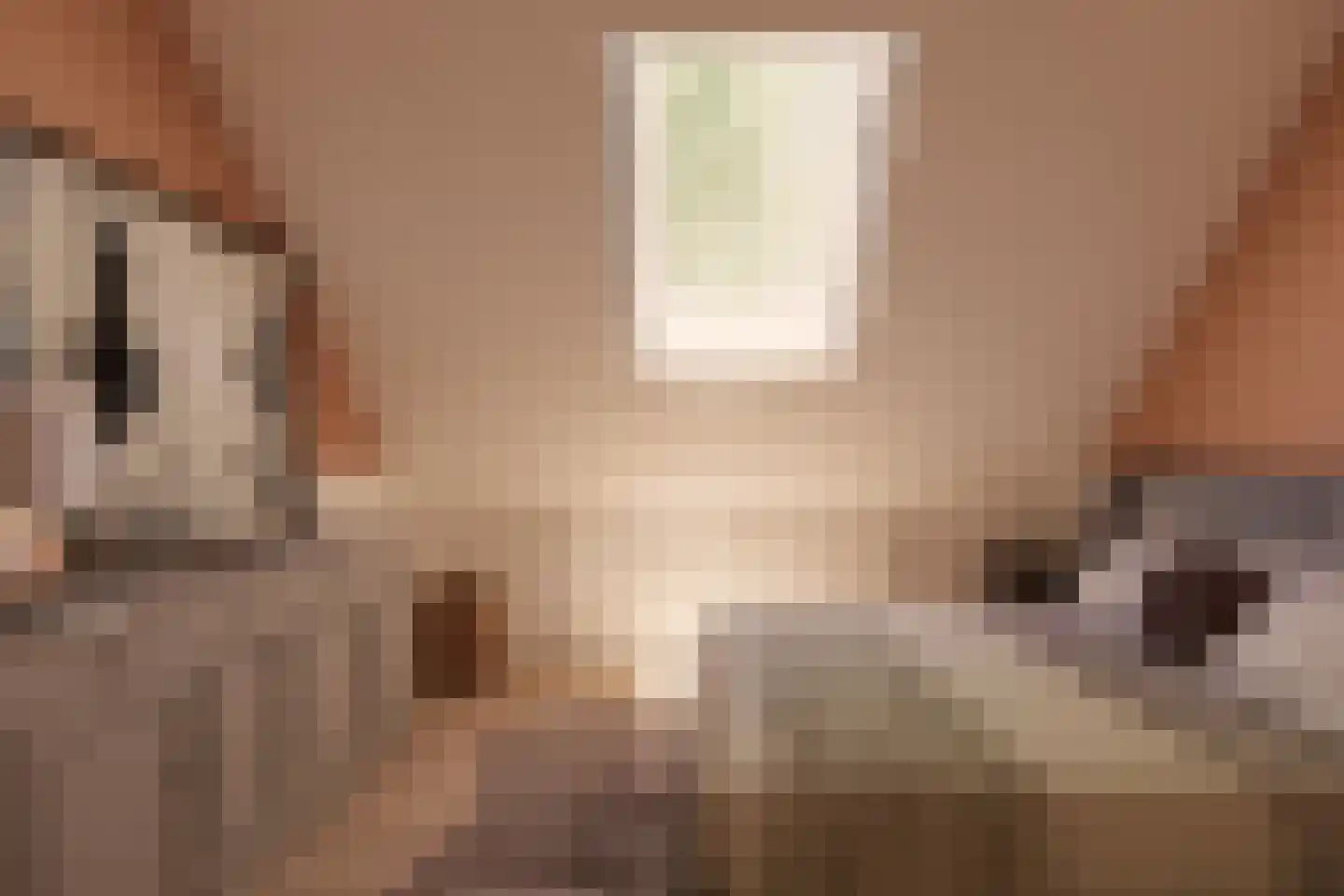 Maasdijk 42 Appeltern thumbnail 48