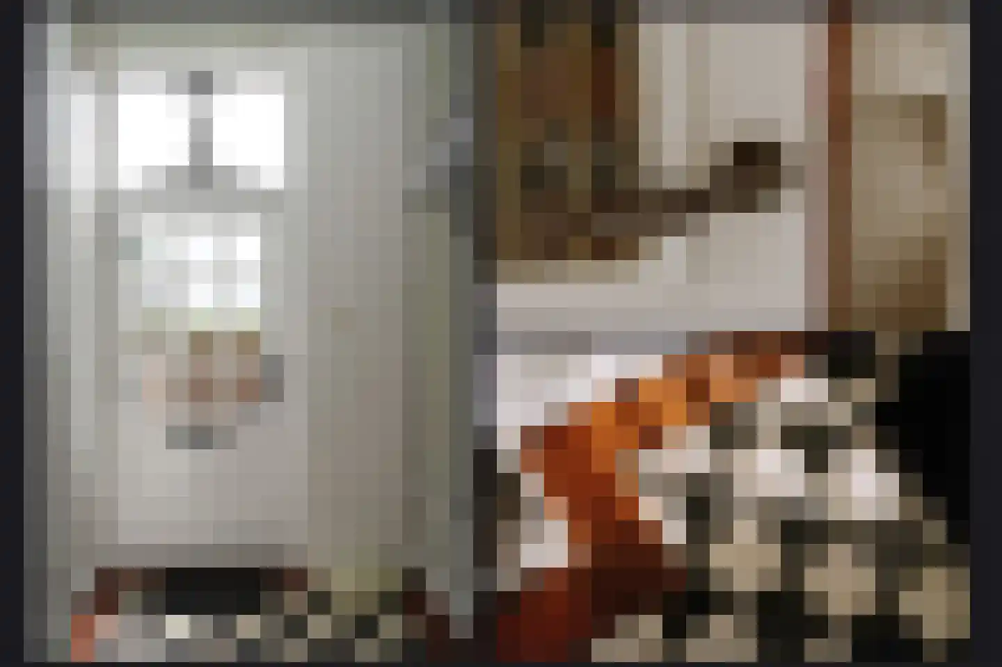Maasdijk 42 Appeltern thumbnail 6