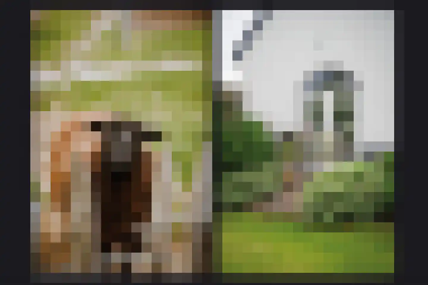 Maasdijk 42 Appeltern thumbnail 60
