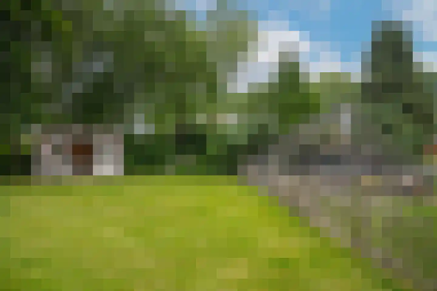 Maasdijk 42 Appeltern thumbnail 61